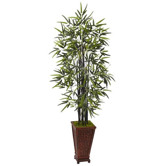 5.5ft. Black Bamboo Tree in Decorative Planter